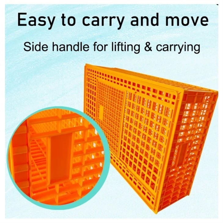 UV Stabilized Plastic Chicken Crate